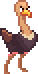 wild-ostrich