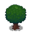 apple-tree