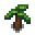 banana-sapling