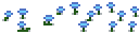 blue-flower-patch