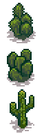 cactus-tree