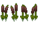 cattail