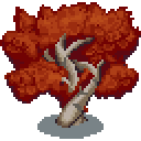 cave-birch-tree