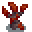 cave-maple-sapling