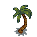 coconut-tree
