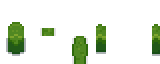 forest-hedge
