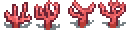 glow-coral