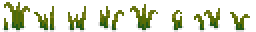 grass