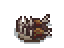 half-eaten-duck