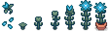 iceblossom