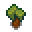 lemon-sapling