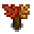 maple-sapling
