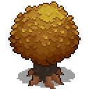 maple-tree