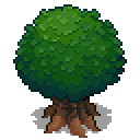 oak-tree