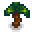 palm-sapling