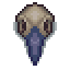 raven-skull