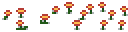 red-flower-patch