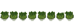reeds