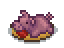stuffed-pig