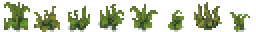 swamp-grass