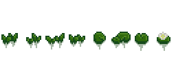 water-grass
