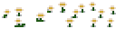 white-flower-patch