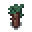 willow-sapling