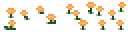 yellow-flower-patch