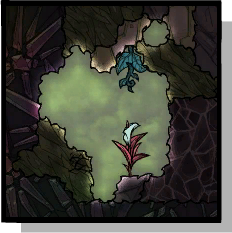 jungle-biome