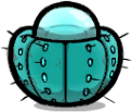 hydrocactus