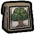 broadleaf-tree-seed