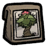 jungle-tree-seed