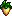 parsnip
