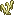 Alga blanca