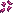 Cebo