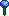 Allium azul