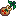 cherry-sapling