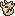 fossilized-skull