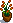 house-plant