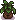seasonal-plant