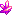star-shards
