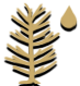 Pine resin