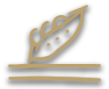 soybean