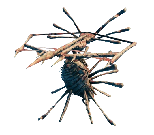 skugg