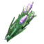 fragrant-bundle