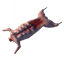 hare-meat