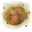 ooze