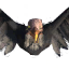 volture-trophy